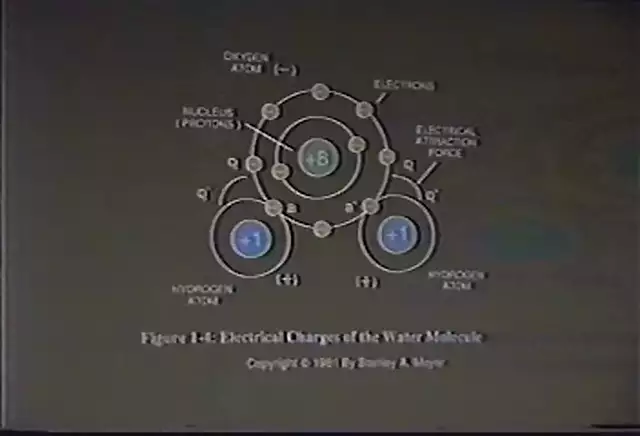 The Safe Free Energy Conference - 1989 Part 1