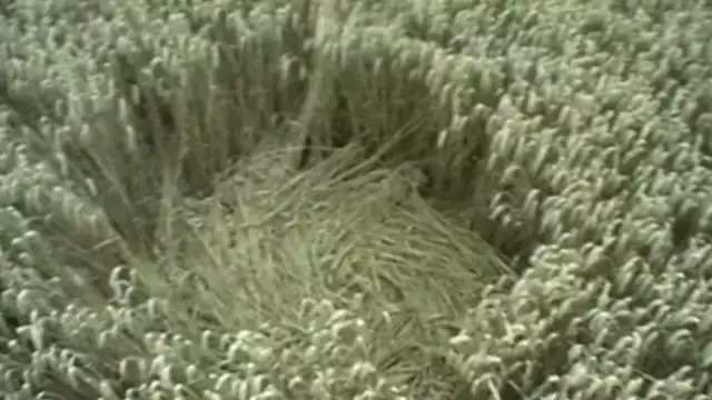 Enigma of the Crop Circles - Part 1
