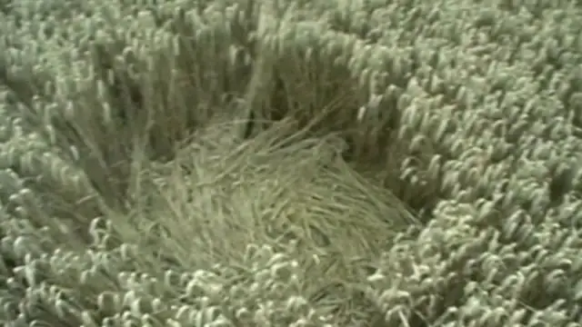 Enigma of the Crop Circles - Part 1
