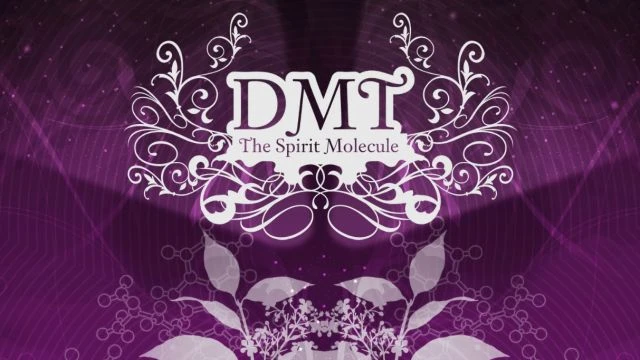 DMT - The Spirit Molecule (2010)