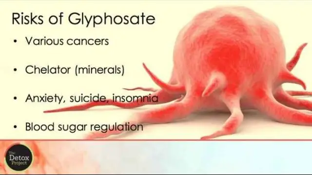 Jeffrey Smith: The Toxicity of Glyphosate and GMOs