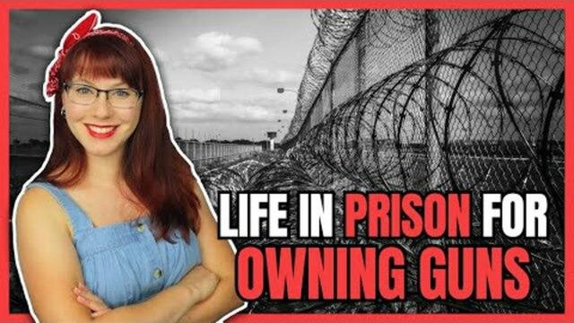 LIFE IN PRISON FOR OWNING GUNS [2023-07-03] - LIBERTY DOLL (VIDEO)
