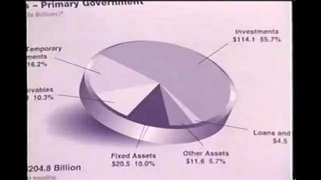Comprehensive Annual Financial Reports Exposed (2001)