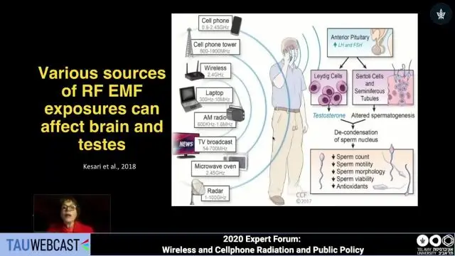 5G, Wireless Radiation and Health: A Scientific and Policy Update Presentation by Dr. Devra Davis