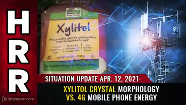 Situation Update, April 12th, 2021 - Xylitol crystal morphology vs. 4G mobile phone energy