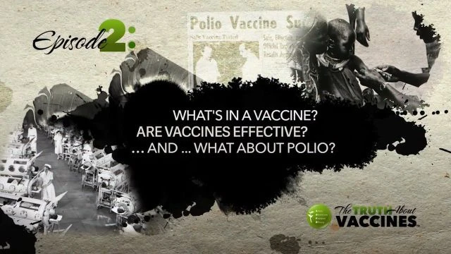 Ep2 What's in a Vaccine - Are Vaccines Effective - and What About Polio