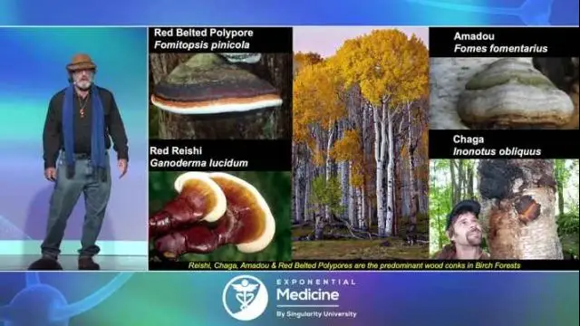 Paul Stamets - Mycology and Mushrooms as Medicines