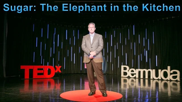 7- Sugar -- the elephant in the kitchen Robert Lustig at TEDxBermuda 2013