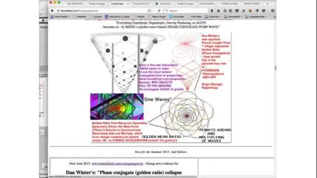 Advanced Fractal Field Physics - Second Course with Dan Winter