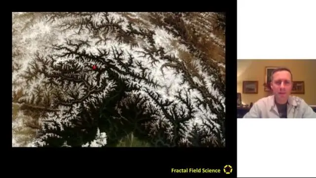 Tufan Guven - Visual Introduction to Fractal FIELD Science - Dan Winter