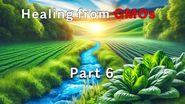 Healing from GMOs ep06 Q&A with your host Jeffrey Smith