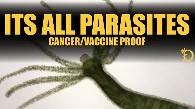 Its All Parasites: Cancer / Vaccines / Remedies