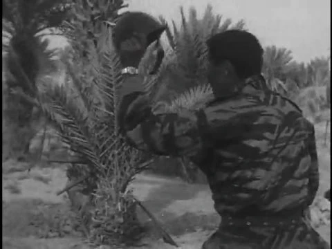 CIA Archives: The Sand War - The Moroccan-Algerian Border Debate (1963)