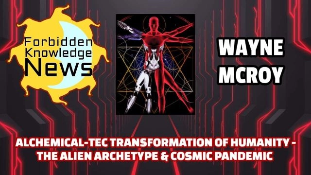 Alchemical-Tec Transformation of Humanity - The Alien Archetype & Cosmic Pandemic | Wayne McRoy