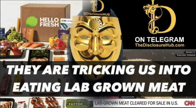 THEY ARE TRICKING US INTO EATING LAB GROWN MEAT!