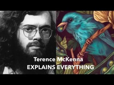 Terence McKenna Explains Everything