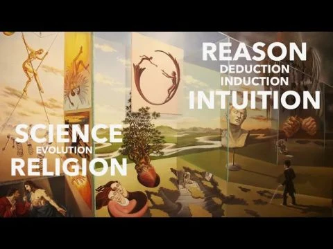 The History Of Reason And Intuition - Terence McKenna