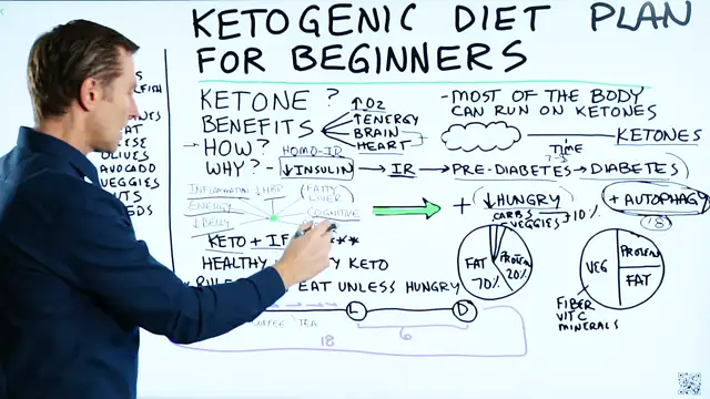 Ketogenic Diet Plan for Beginners - Dr. Berg
