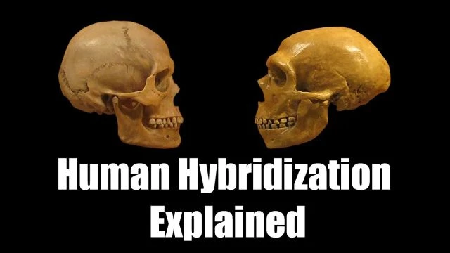 Human Hybridization Explained - ROBERT SEPEHR