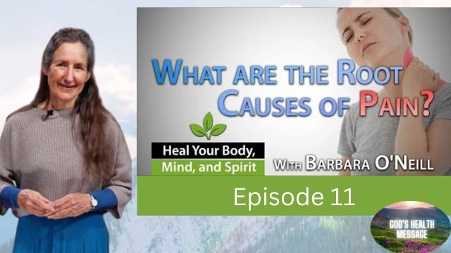 Barbara ONeill: (11/13) Heal Your Body, Mind And Spirit- Natural Pain Relief Strategies