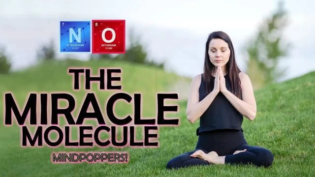 The Miracle Molecule | Nitric Oxide NO | MindPopper