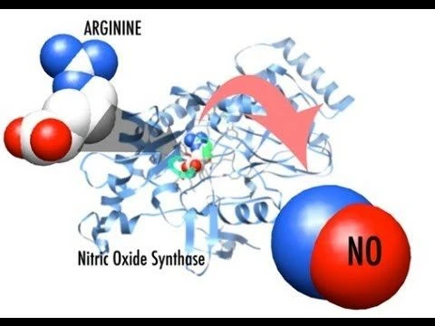 Nitric Oxide by Dr. Ferid Murad