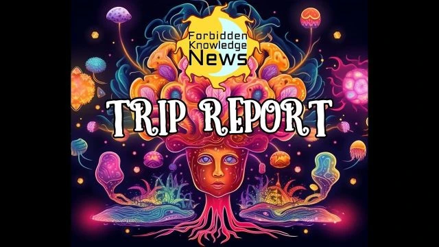 FKN Trip Report E3: My 3rd Eye & Pineal Activated