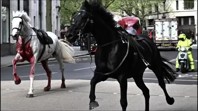 Unraveling Symbolism: Big Ben's Halt and Free Horses, 4/24/2024