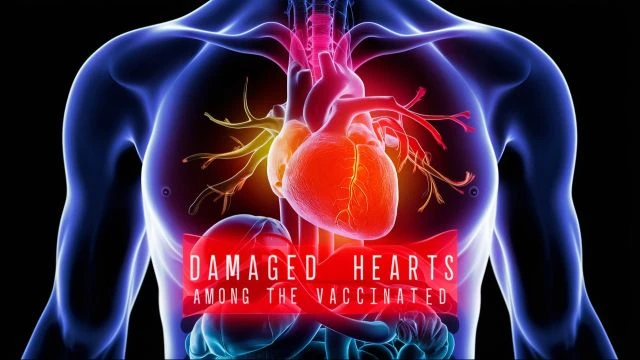 Damaged Hearts Among the Vaccinated with Dr. Chris Shoemaker
