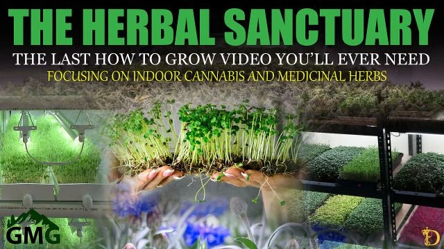 Create a Herbal Sanctuary : The Last Guide You NEED for Growing Herbs  Cannabis  Microgreens