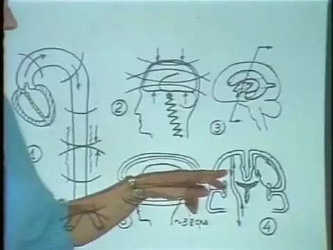 Itzhak Bentov ~ From Atom To Cosmos Excerpt