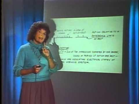 Itzhak.Bentov.From.Atom.To.Cosmos.avi