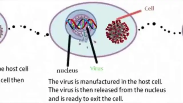FABLED ENEMIES - THE VIRUS NARRATIVE SMASHED TO SMITHEREENS (2021)