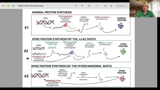 How Spike Proteins Work