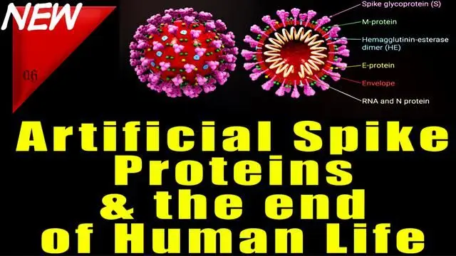 Artificial Spike Proteins & The End of Human Life