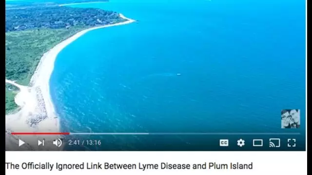 The Officially Ignored Link Between Lyme Disease and Plum Island