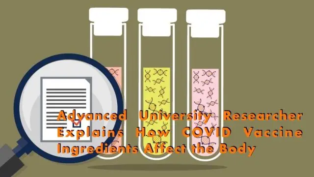 Advanced University Researcher Explains How COVID Vaccine Ingredients Effect The Body