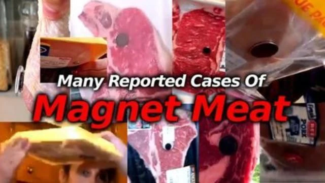 Magnet Meat: Magnetogenetics?