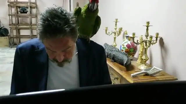John McAfee @officialmcafee Jul 9 2020 Â· Pirate Parrot and I compose a duet together