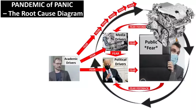 This Pandemic of Panic - EXPLAINED SIMPLY - in 3 minutes flat!
