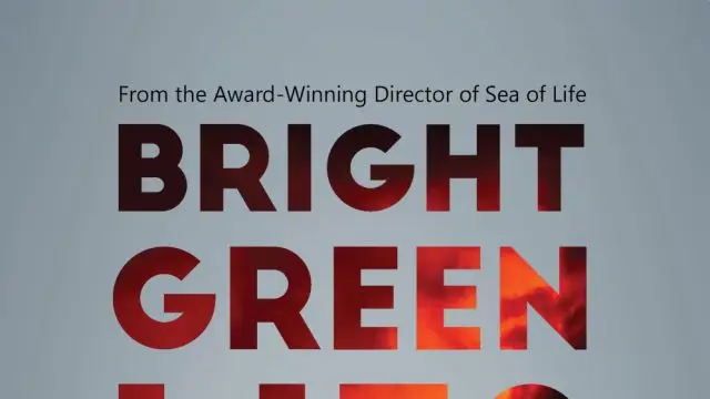 Bright Green Lies: Clean Energy Has a Dirty Secret (2021)