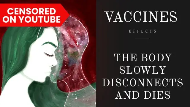 Vaccines, Body, and Soul: Disconnecting the Body from the Source (Effects of Vaccines)