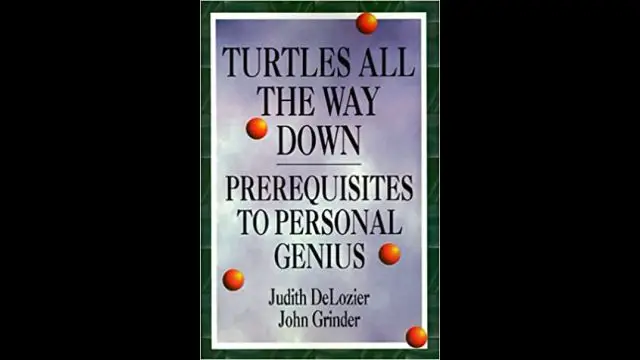 John Grinder & Judith DeLozier - Turtles All the Way Down