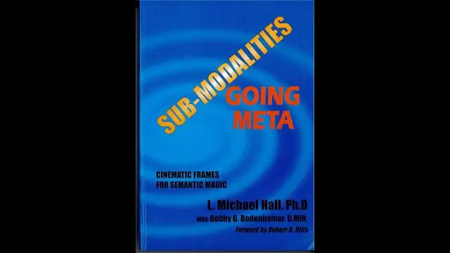 L Michael Hall & Bob Bodenhamer - Sub Modalities Going Meta, 2005