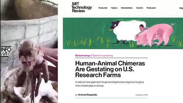Another video of a human animal Hybrid leaked? Part human and part???