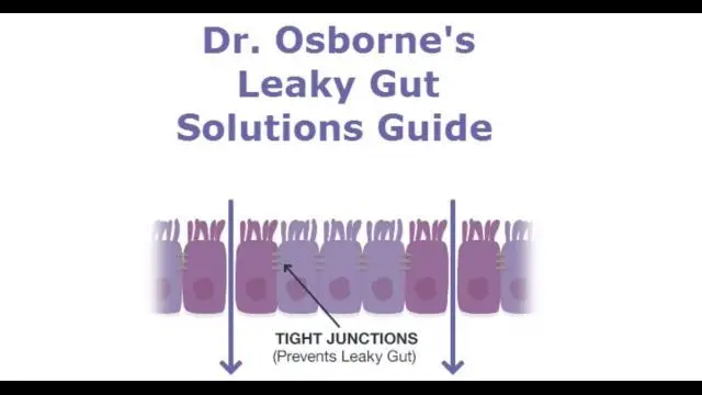 Leaky Gut Solutions Guide - Dr. Peter Osborne