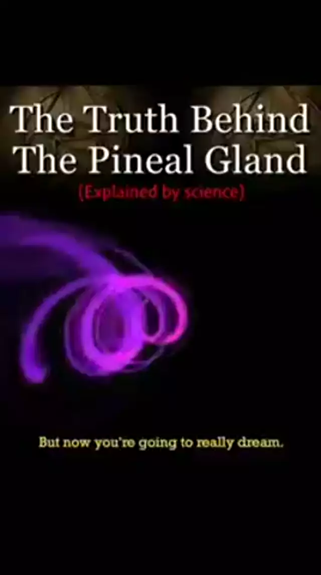 The Pineal Gland is a Radio Receiver