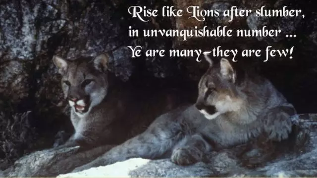Rise Like Lions (2011) #MetanoiaFilms