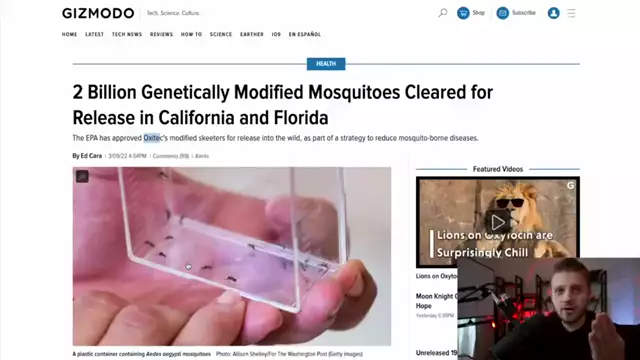 World Health Organization Says MOSQUITOES Will Cause Next Pandemic! (+ Link to Gates & Biolabs??)