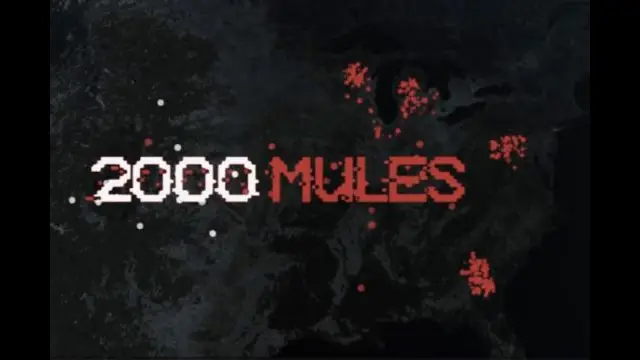 2000 Mules (2022) Virtual Premiere